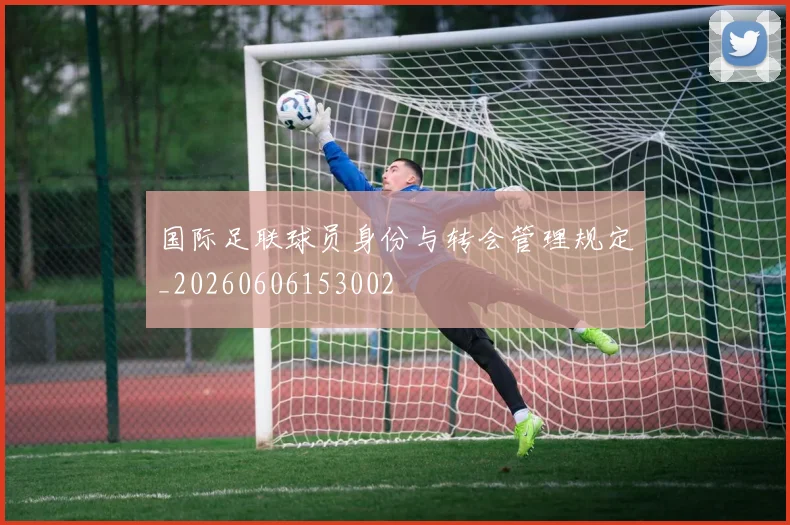 国际足联球员身份与转会管理规定_20260606153002